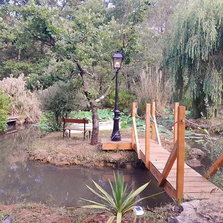 Pensjonat Domaine D'Avalon Lorgues Zewnętrze zdjęcie